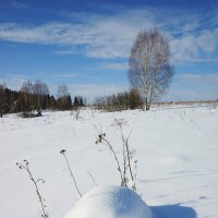 Зимний день в долине Протвы :: Сергей Курников