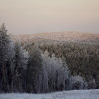 Зимний пейзаж :: Анна Суханова