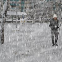 Прогулки по снегу :: Анатолий Чикчирный