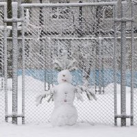 Мохнатый снеговик. :: Елена Иванова