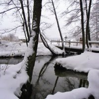 Незамерзающие родники. :: Людмила И. 