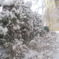 Опять зима, зима, зима.. :: Елена Семигина