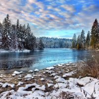 Лесное озеро (Etang de la Gruère) :: Elena Wymann