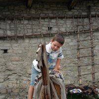 Думаете легко оседлать коня... пусть даже деревянного! ) :: Тамара Бедай 