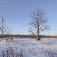 .. :: Михаил Жуковский