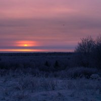 самый короткий день года) :: Наталья 