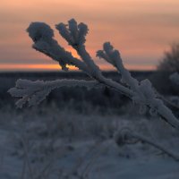 Зима, ты прекрасна!!! :: Наталья 