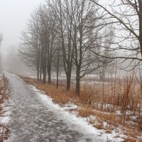 Январь...Дорожка уходящая в туман... :: Александр Фролов 