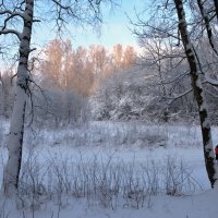 Природа в январе. :: ТАТЬЯНА (tatik)