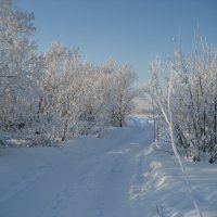 У городской протоки. Якутск. :: Anna Ivanova