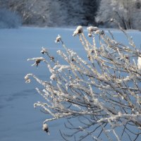 Я расскажу вам сказку. :: Лилия Гудкова