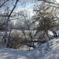 Волшебница зима :: Роман Кривеженко