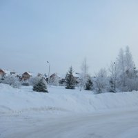 Настоящая зима! :: Татьяна Гусева