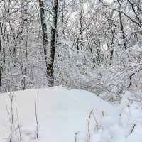 Зима, сугроб, в лесу.. :: Юрий Стародубцев