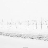 В тумане :: Игорь Чичиль