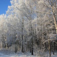 Зима :: Liudmila LLF