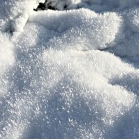 Колючий снег. :: Валерия Комова