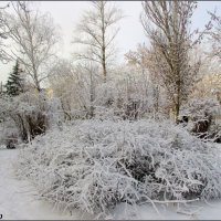 Зимний Ростов :: Нина Бутко