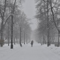 Снег :: Дмитрий Близнюченко