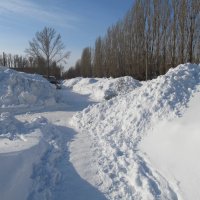 снегом засыпанный город :: Елена Шаламова