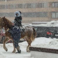 В поисках места на стоянке. :: Анатолий. Chesnavik.