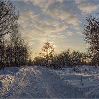 Зимний день 3 :: Андрей Дворников