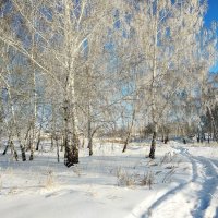 Зима :: Владимир Зыбин