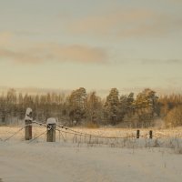 Необычное  утро :: Роман Баранов