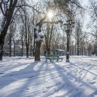 Снег на пару часов в Одессе 3 :: Сергей Волков