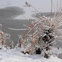 Зимние картинки Южного парка :: Маргарита Батырева