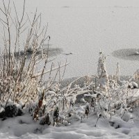 Зимние картинки Южного парка :: Маргарита Батырева
