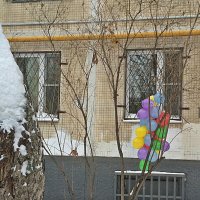 Ремонт до весны,  но праздник  уже сегодня! :: Виталий Селиванов 