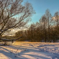 Зимний пейзаж.......... :: Александр Селезнев