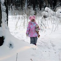 В зимнем лесу. :: ВикТор Быстров