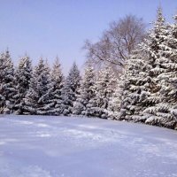 Зима в городе. :: Людмила Грибоедова 