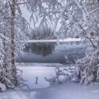 *** :: Анжела Пасечник