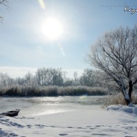 Волшебница зима :: Роман Кривеженко