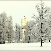 Зимой в Александровском парке  3 :: Сергей 