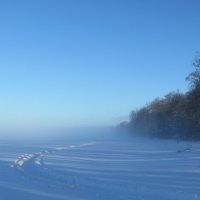 морозный туман :: Галина 