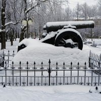 Засыпало снегом французскую пушку. :: Милешкин Владимир Алексеевич 