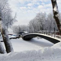 Зимний сад :: Милешкин Владимир Алексеевич 