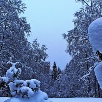 Зима позиций не сдает! :: Vladimir Semenchukov