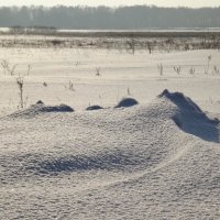 Снег да снег кругом... :: Светлана Рябова-Шатунова