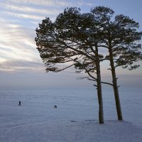 Прогулка с телефоном. Днём было неинтересное небо, поэтому на прогулку камеру не взял, а зря. :: Владимир Шибинский