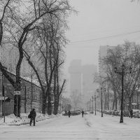 Снегопад в городе. :: Галина Бехметьева