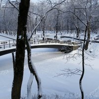 Зимний сад :: Милешкин Владимир Алексеевич 