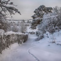 **** :: Анжела Пасечник