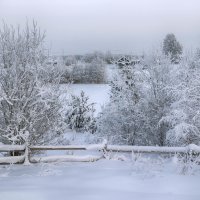 **** :: Анжела Пасечник