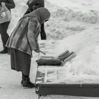 Книги на снегу. :: Анатолий. Chesnavik.