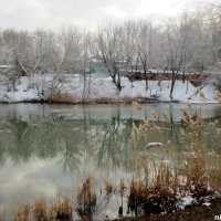 Январь в парке Октября :: Нина Бутко